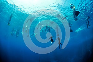 Freediving training in the depth of Blue Hole