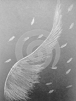 Freedom of action in life