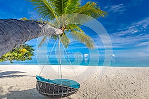 Freedom carefree travel beach concept. Idyllic romantic palm swing, calm sea view, sunny exotic vacation landscape