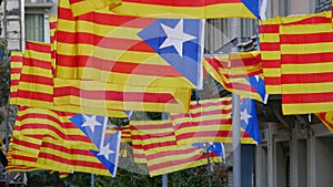 Freedom for Catalonia Independence Flagstaff