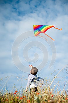 Freedom concept of active little caucasian child in shirt holding multicolored flying kite in air standing among flower field in