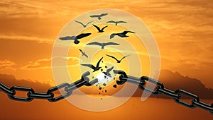 Freedom Concept : Birds Broken The Chain and Flying Away. Chains transform to free Bird At Sunset. yellow Orange Sky. Concept