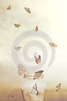 Freedom concept for a group of prisoners butterflies in a vase