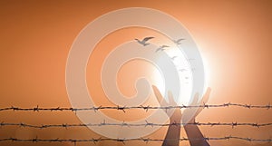 Prayer praise God and birds flying with barbed wire photo