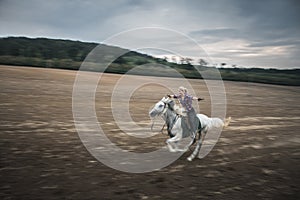 Freedom, galloping horse