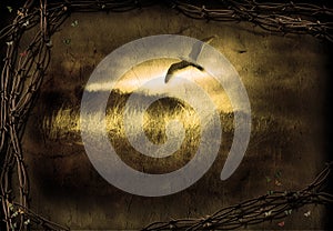 Freedom - Imprisionment