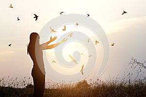 Libertà da vita gratuito uccello un una donna contento natura sul tramonto 