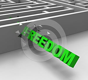 Freedom From Maze Shows Liberty