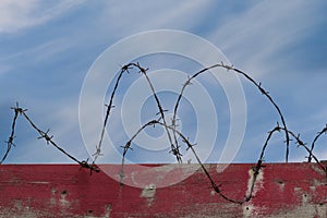 Freedom motivational inspiring quote and landscape with barbed wire fence background