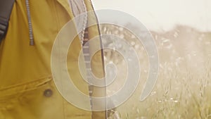 Freedom, nature and hands of woman in countryside for peace, relax and happy in wheat field. Smile, inspiration and