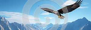 Majestic Eagle Soaring Above Mountain Peaks Freedom power majesty nature and wilderness symbolized by a bald eagle in flight photo