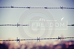 Freedom quote concept barbed wire background