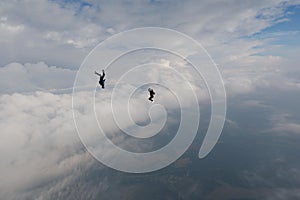 Freefly skydiving. Amazing sky. Flying people.