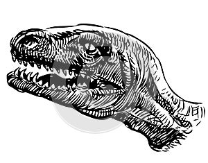 Freehand drawing of head ancient extinct dinosaur