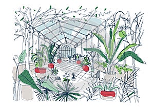 Freehand drawing of interior of botanical garden full of tropical plants with green foliage. Rough sketch of orangery photo
