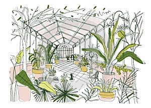 Freehand drawing of interior of tropical botanical garden full of cultivated plants with lush foliage. Sketch of