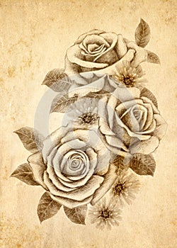 Freehand drawing rose 02 photo