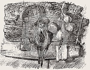 Freehand drawing of rural still life with onions bunch, dried fish, horseshoe and padlock hanging on wooden wall