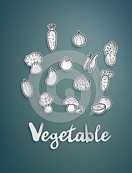 Freehand drawing vegetables,vector illustration.