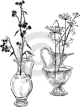 Freehand drawings of dry wild flowers in glass vases