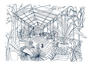 Freehand sketch of interior of tropical botanical garden full of cultivated plants with lush foliage. Rough drawing of