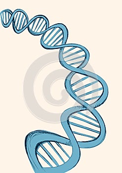 Freehand vector sketch of DNA