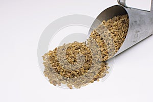 Freekeh in a grain scoop in white background