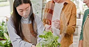 Freelancer Gardener Repotting Plant with Friends in a Small Business Flower Shop