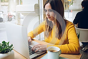 Freelancer girl using netbook computer in bar