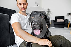 freelancer guy sitting at home working with a dog in an embrace, black labrador.