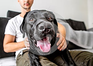 freelancer guy sitting at home working with a dog in an embrace, black labrador.