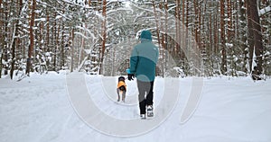 A freelancer walks a dog in the daytime in a cold and snowy winter forest