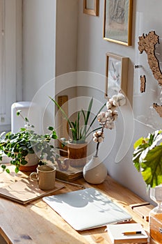 Freelancer working place - wooden desktop, laptop, houseplants, sketchbook, book, notebook, picture on the wall,vase with a sprig