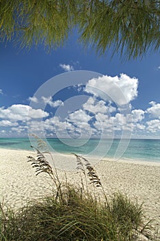 Freeport beach, Grand Bahama Island