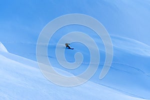 Freeride ski in the Transylvanian Alps