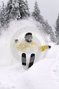 Freeride Skier photo