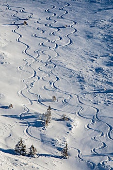 Freeride trate na lyžovanie