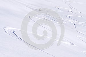 Freeride tracks on powder snow photo