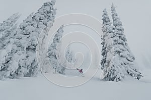 Freerider skier descends from the mountain in the light of the morning sun