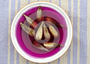 freesia bulbs in a bowl with a solution of manganese and water to destroy phytopathogenic microflora