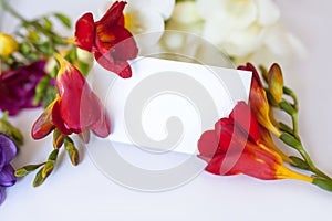 Freesia flowers and blank postcard on white