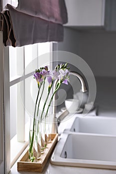 Freesia flowers near window in kitchen
