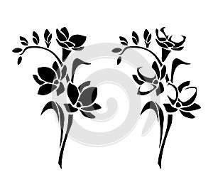 Freesia flowers. Vector black silhouette of freesia