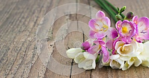 Freesias
