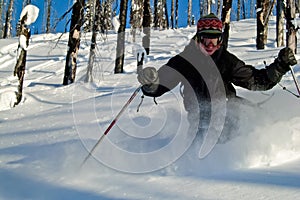 Freeskier in The Bugaboos, a mountain range in the Purcell Mountains, Bugaboo Provincial Park, Britisch Columbia