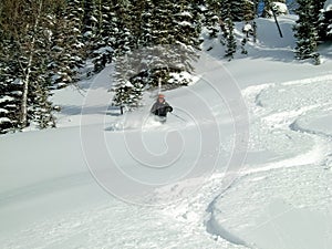 Freeskier in The Bugaboos, a mountain range in the Purcell Mountains, Bugaboo Provincial Park, Britisch Columbia