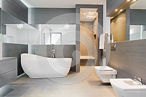 Freestanding bath in modern bathroom