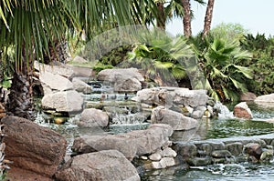 Freestone Park Pond, Gilbert, Arizona photo