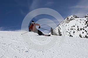 Freestyle Skier Skiing Downhill