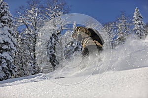 Freestyle snowboarder jump and ride